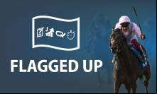 Flagged Up: Sunday 23 June