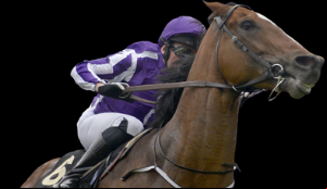 Dartmouth horse racing action shot.